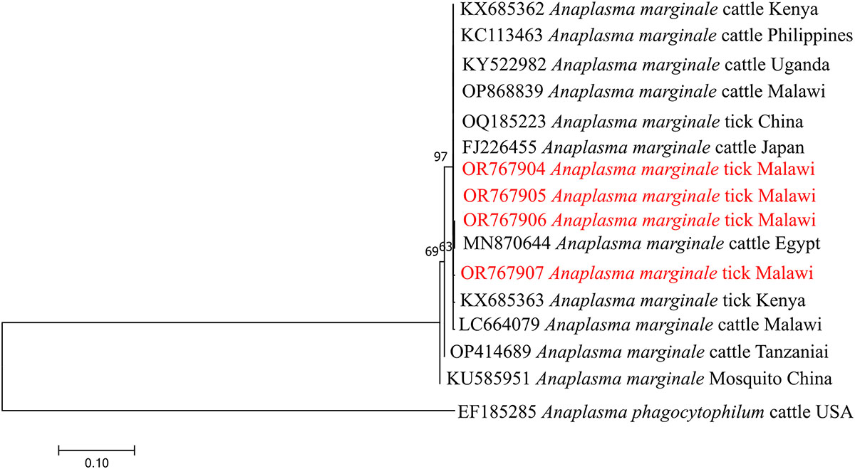 Figure 8 Refer to the following caption and surrounding text.