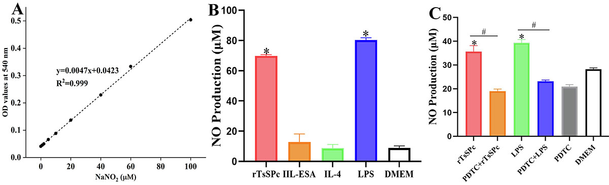 Figure 7 Refer to the following caption and surrounding text.
