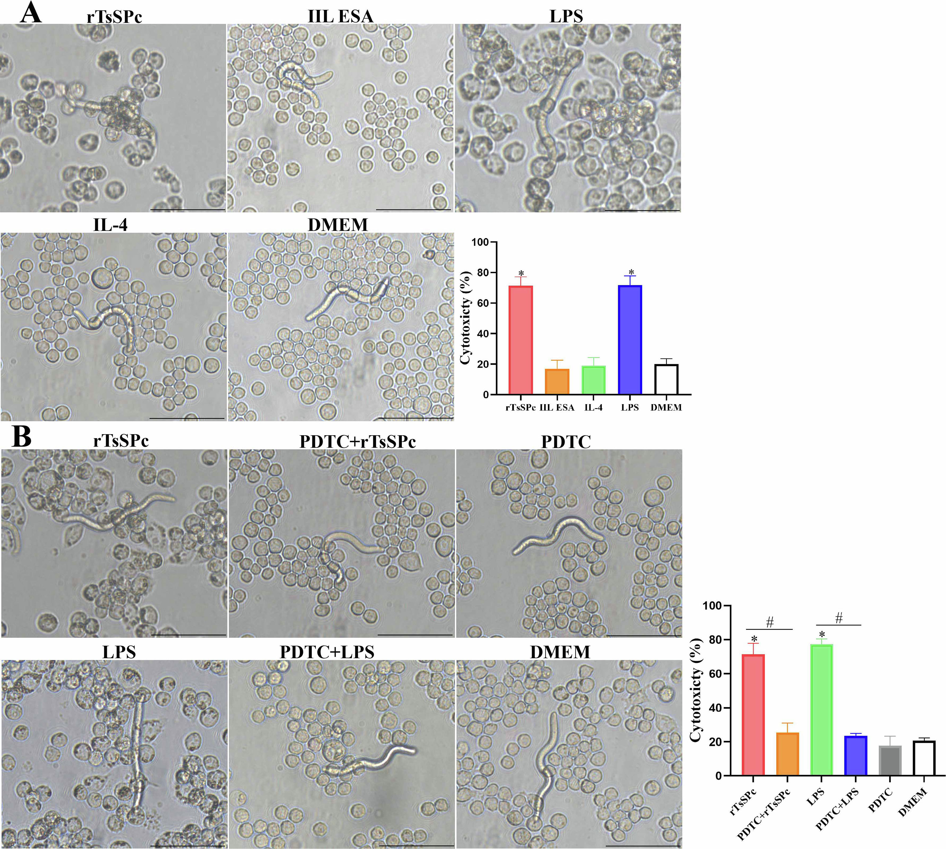 Figure 8 Refer to the following caption and surrounding text.