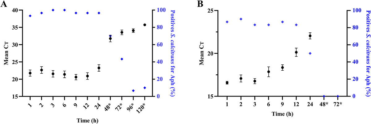 Figure 4 Refer to the following caption and surrounding text.