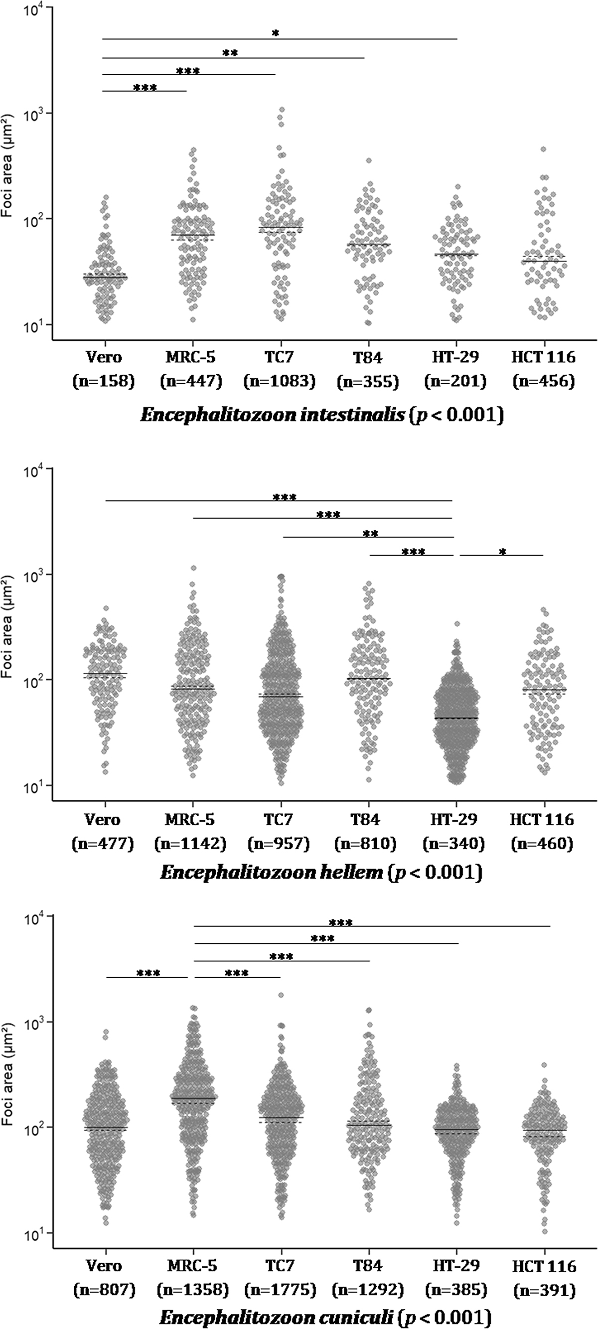 Figure 5 Refer to the following caption and surrounding text.