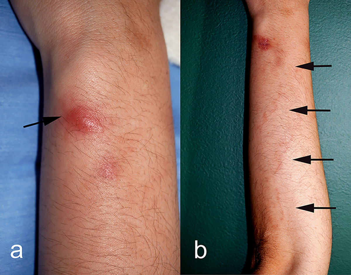 Figure 1 Refer to the following caption and surrounding text.