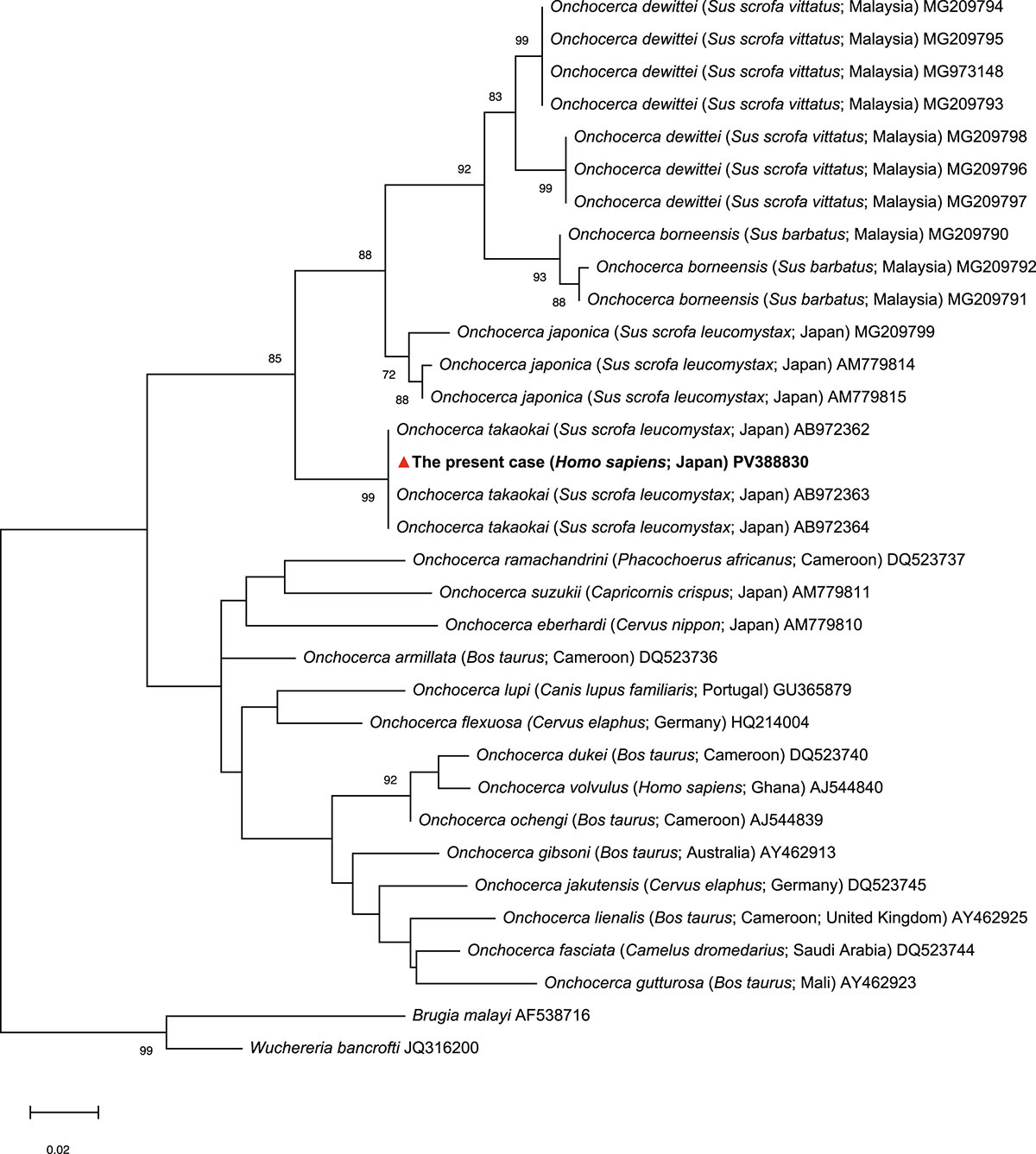 Figure 3 Refer to the following caption and surrounding text.