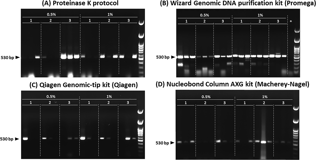 Figure 2 Refer to the following caption and surrounding text.