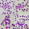 Thumbnail: Figure 1 Refer to the following caption and surrounding text.