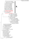 Thumbnail: Figure 5 Refer to the following caption and surrounding text.