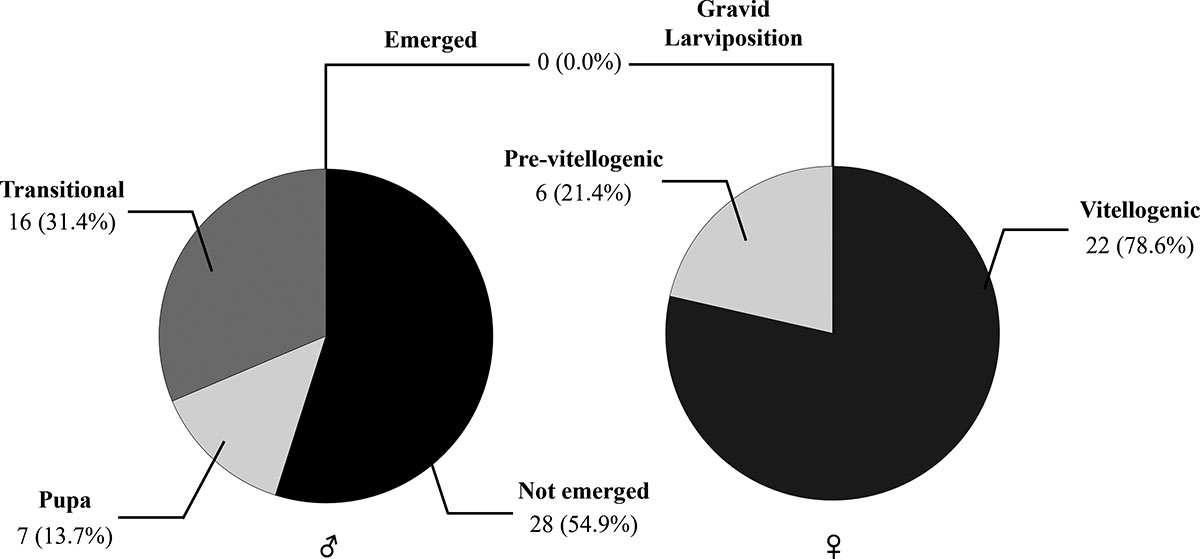 Figure 6 Refer to the following caption and surrounding text.