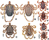 Thumbnail: Figure 3 Refer to the following caption and surrounding text.