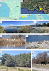 Thumbnail: Supplementary Figure 1: Refer to the following caption and surrounding text.