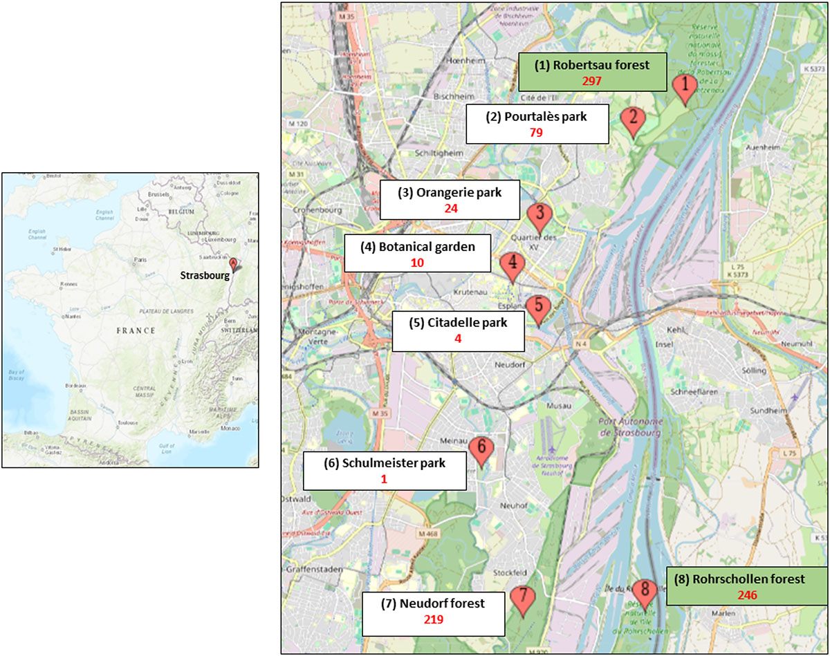 Figure 1 Refer to the following caption and surrounding text.