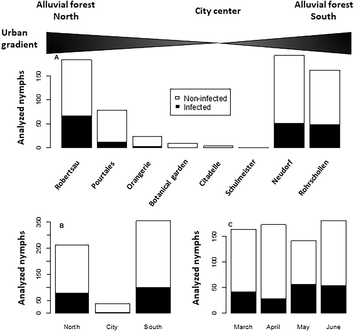 Figure 2 Refer to the following caption and surrounding text.