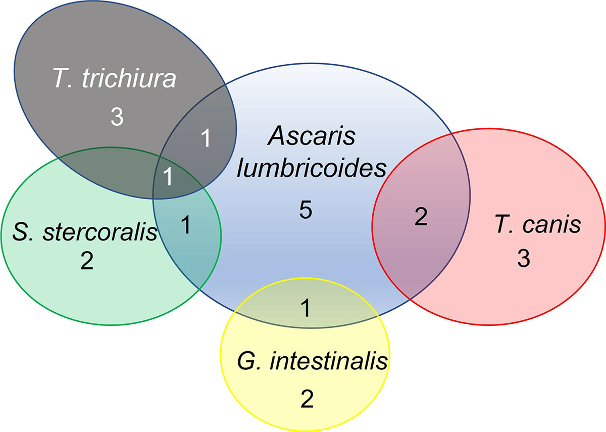 Figure 1 Refer to the following caption and surrounding text.