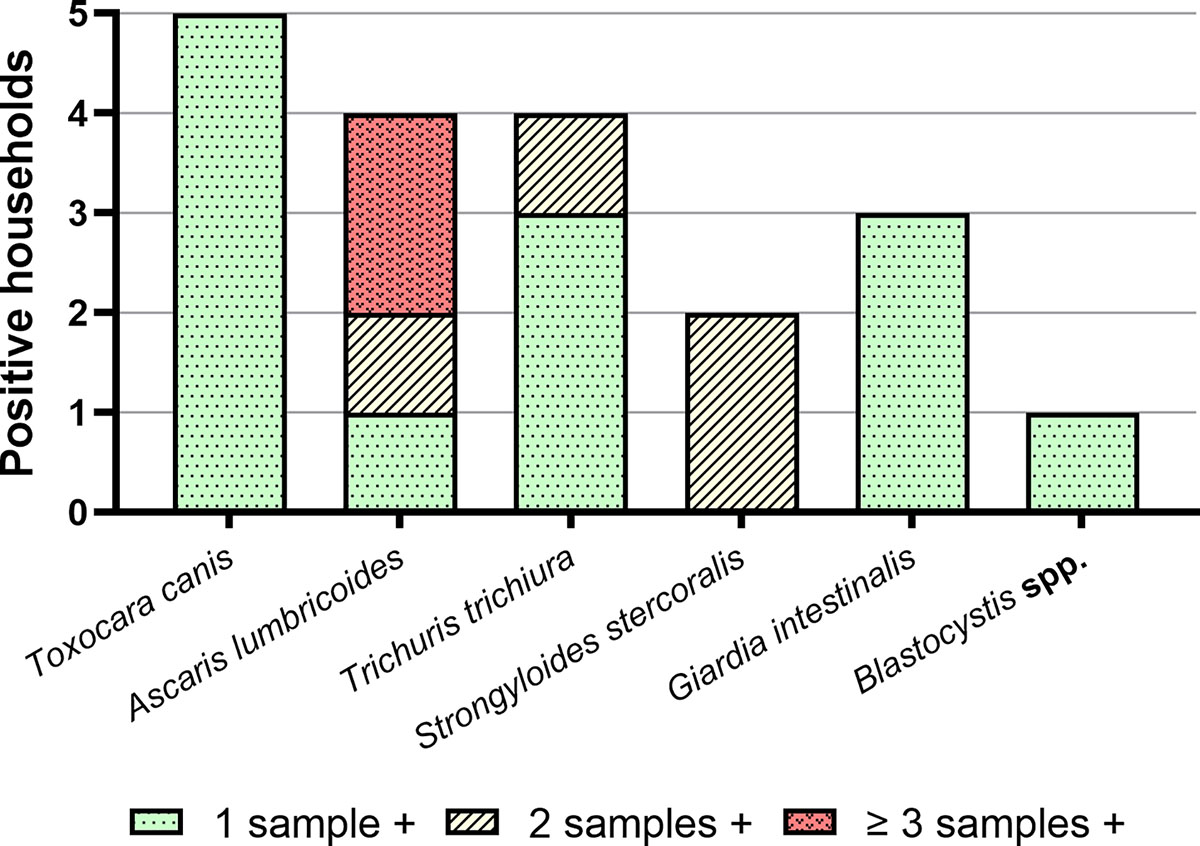 Figure 2 Refer to the following caption and surrounding text.